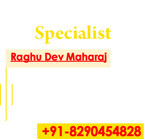 Astrologer Raghu Dev Maharaj